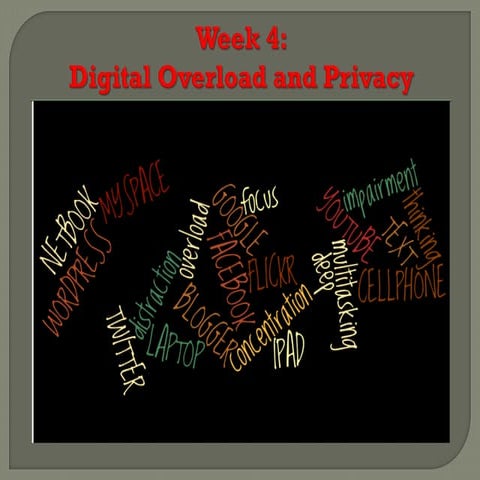 Week 4 Digital Overload and Privacy Summer 2013 HUM140