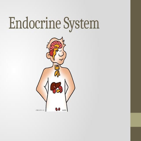 Week_4_Supplementary_material_for_Endocrine_system (1).pptx