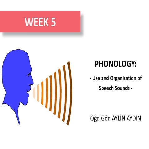 Phonology