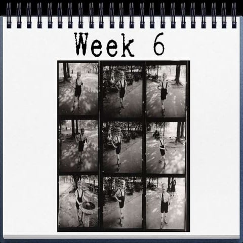 Week 6 13