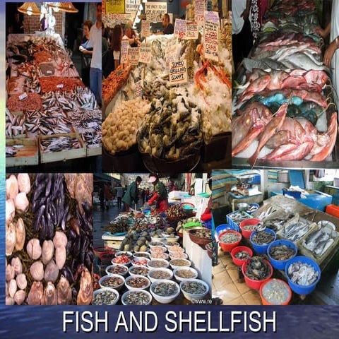 Different Market Forms of Fish