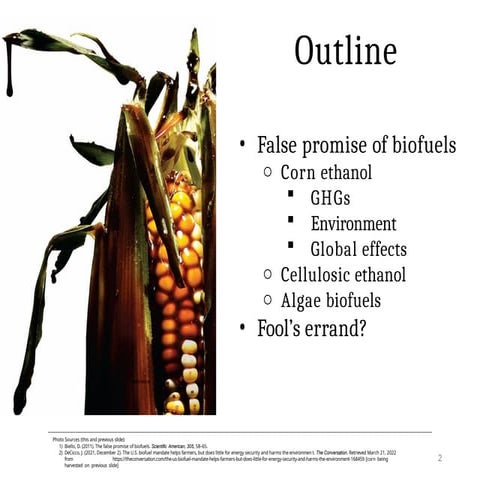World Biofuel Day.pptx