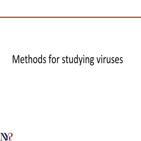 Week 7   methods to study viruses &amp; cht 26 nervuos system(1)
