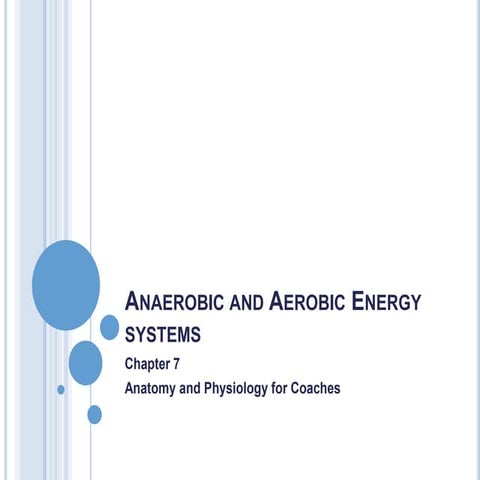 Week 7  anaerobic and aerobic energy systems