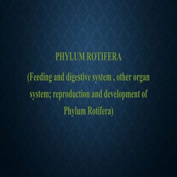             PHYLUM    ROTIFERA