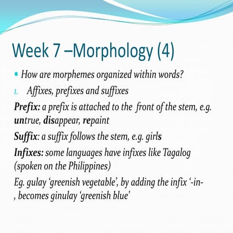 Week 7 –morphology (part 4)