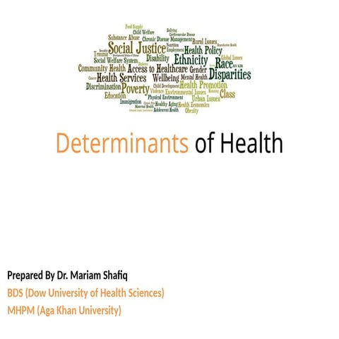 Social Determinants of Health.presentation