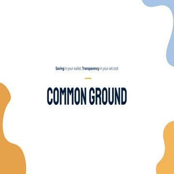 Week 9   common ground pitch deck