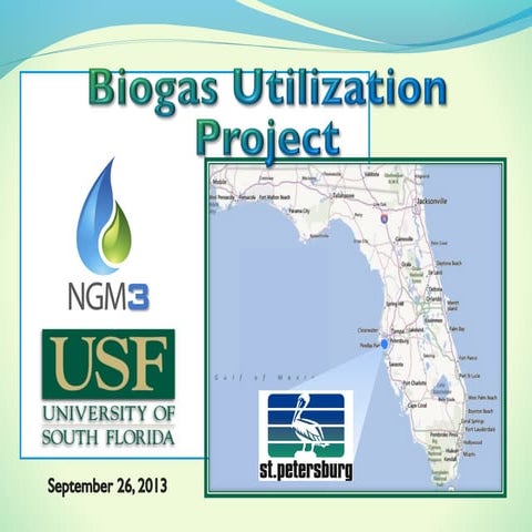 Water /  Environmental Engineering Senior Design _ USF 2013 _ Wastewater Team