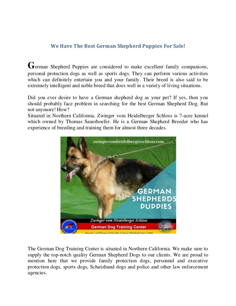 best quality german shepherd