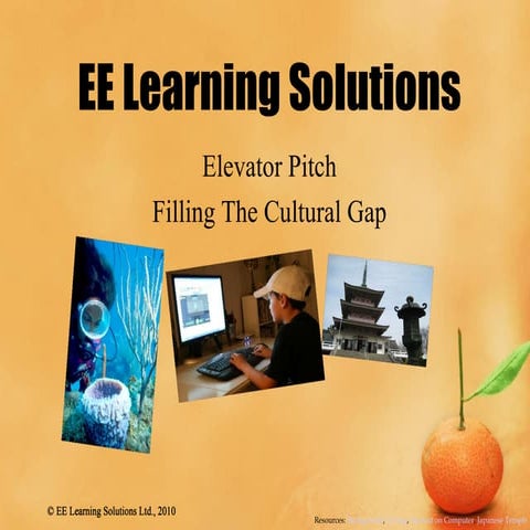 EE Solutions Elevator Pitch | PPTX
