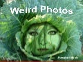 Weird Photos