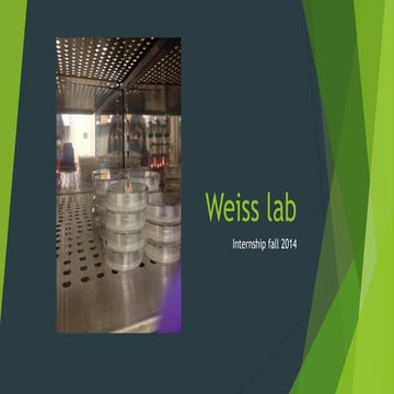 Weiss lab