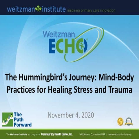 The Hummingbird’s Journey: Mind-Body Practices for Healing Stress and Trauma