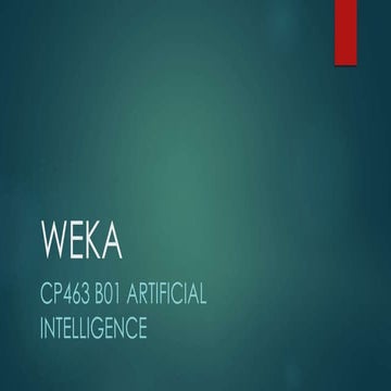 Project Weka 54102010358