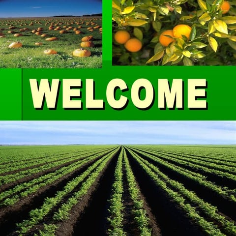 Crop Production And Management 