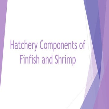 Hatchery Components of Fin fish and Shrimp