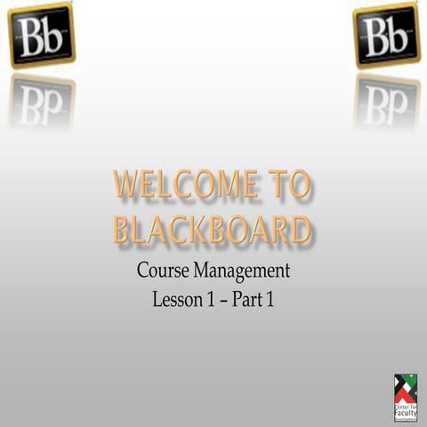 Course Organization for Blackboard 9.1