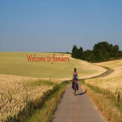 Welcome to flanders