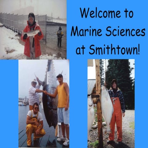 Welcome to marine sciences | PPT