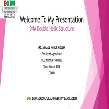DNA Double Helix Structure