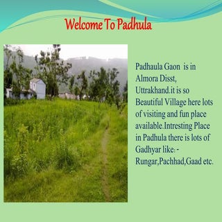 Welcome to padhula