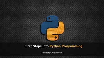 First Steps in Python Programming