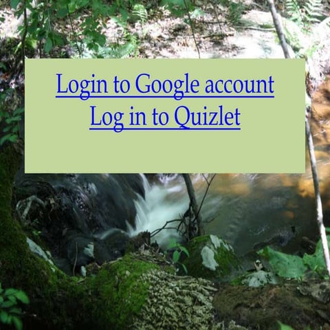 Welcome to trail blazers