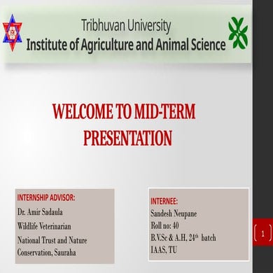 WELFARE ASSESSMENT OF CAPTIVE ELEPHANT.pptx