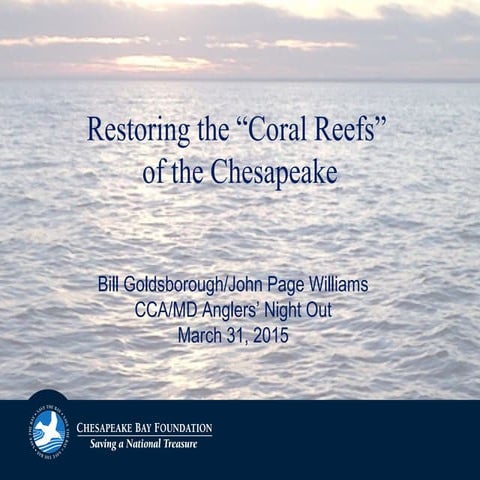 Restoring the “Coral Reefs” of the Chesapeake