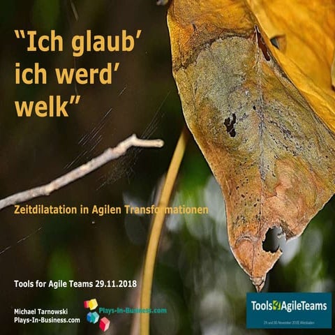 „Ich glaub, ich werd welk“. Zeitdilatation in Agilen Transformationen – Tools...