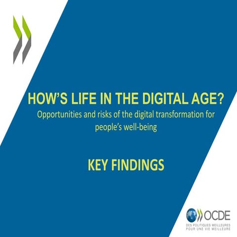 How's Life in the Digital Age? Key findings
