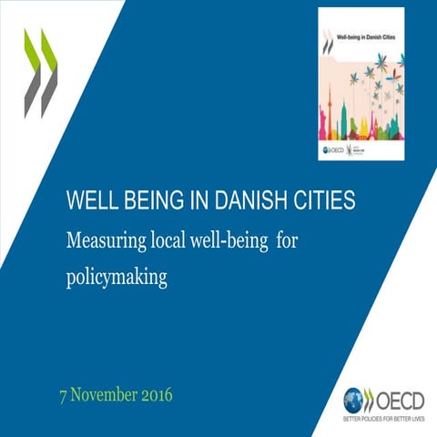 Well Being in Danish cities - measuring local well-being  for policymaking