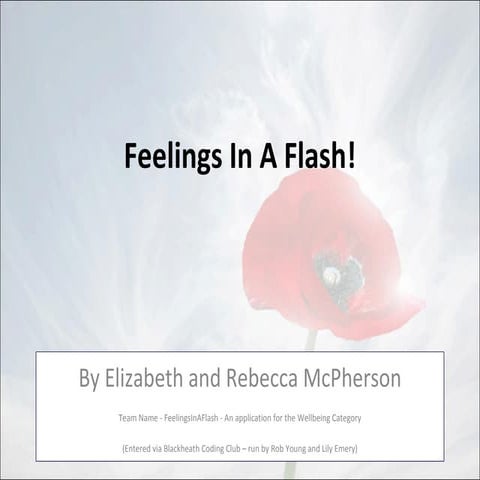Well - Being Winner AFGA 2012 - Feelings in a Flash