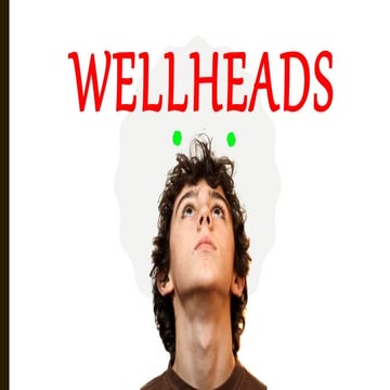 wellheads-170105153648 (1).pdf