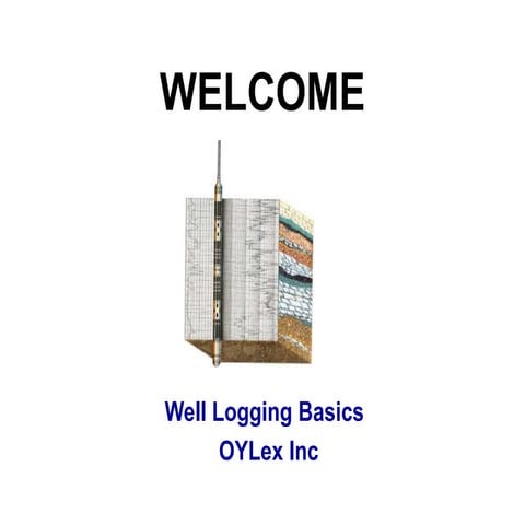 Well logging oylex