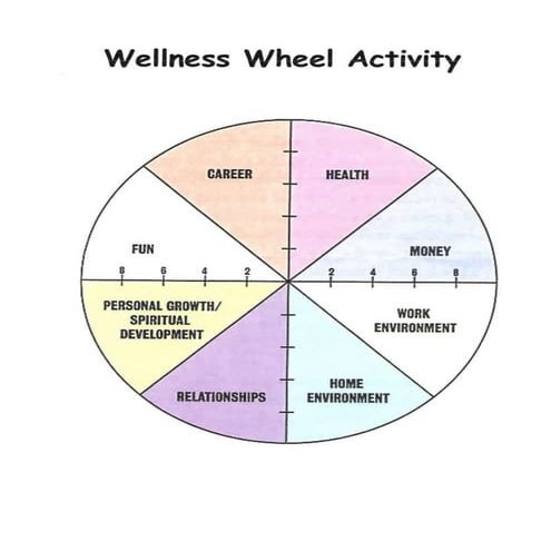 Wellness Wheel Activity DOCX