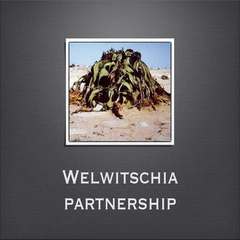 Welwitschia Partnership