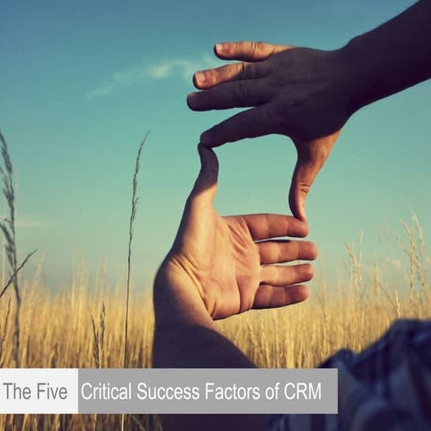 Making CRM Work. The 5 Critical Success Factors.