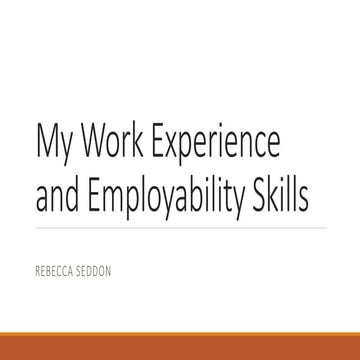 Work Experience presentation | PPTX