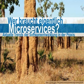 Wer braucht eigentlich Microservice...