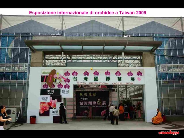 Wesposizione Orchidee