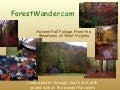 West Virginia Fall Foliage Colors