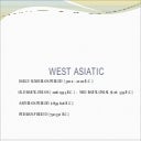 West asiatic