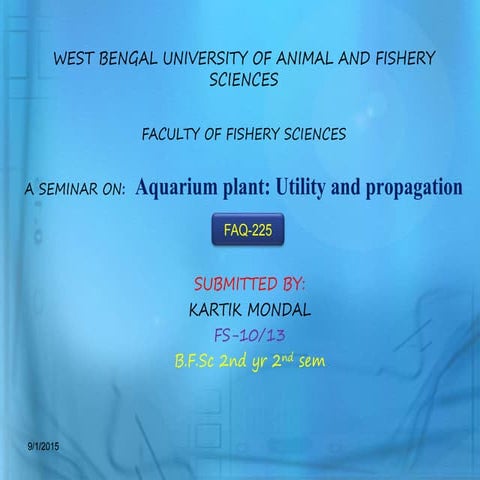 aquarium plant utility and propagation