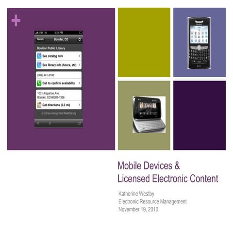 ERM Class Presentation - Westby