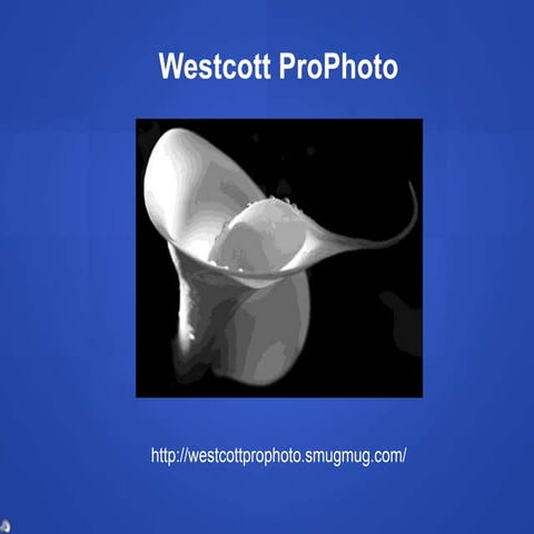 Westcott Pro Photo Intro