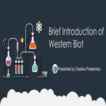 Brief introduction of Western blot 