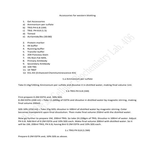 Western blot complete protocol