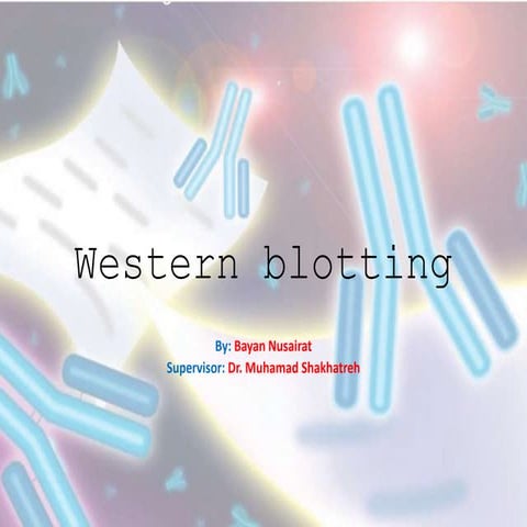 Western blotting